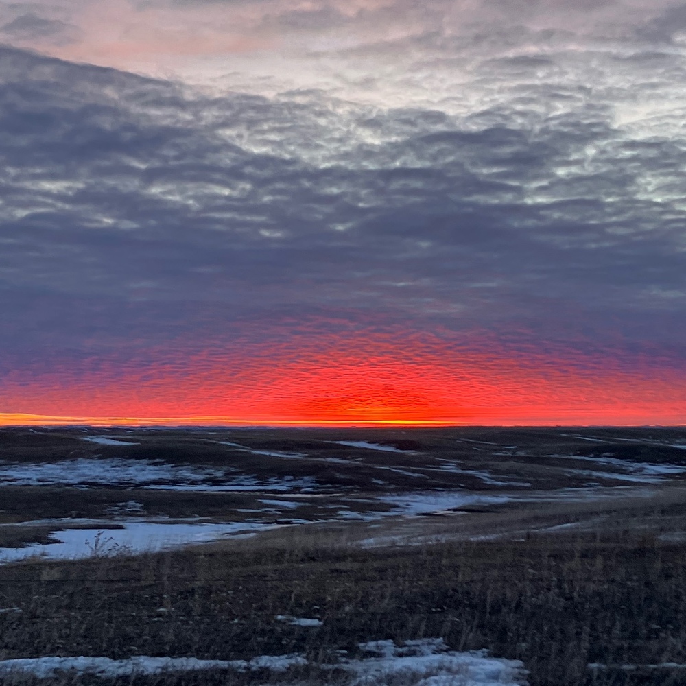 Meet your Posher, Kira